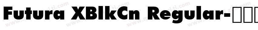 Futura XBlkCn Regular字体转换